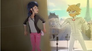 Miraculous Ladybug - Speededit: Chat, why
