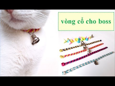 Video: Lớp Học Dành Cho Người Yêu Mèo: Cách Làm Vòng Cổ Cho Thú Cưng Bằng Chính Tay Bạn