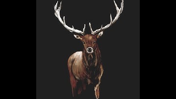 Levvo - Just another day