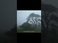 ١٤ شباط، ٢٠٢٥