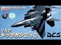 【DCS World】2人でトップガンごっこ!秘密基地を低空爆撃せよ!【F-15E】