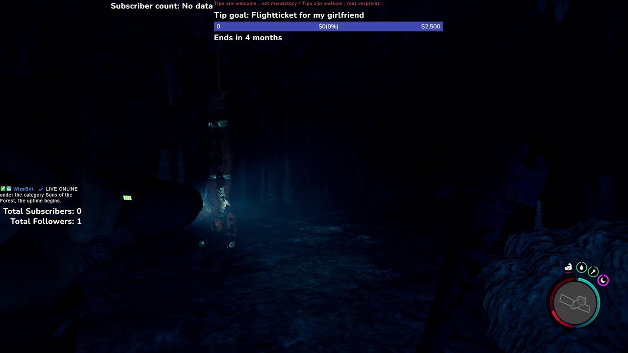 Sons of the forest , how long do we survive the island ?