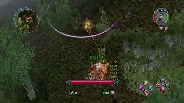 Pole Arms SW vs Undead/Sinister Prince (Platinum Difficulty) - Sacred 2