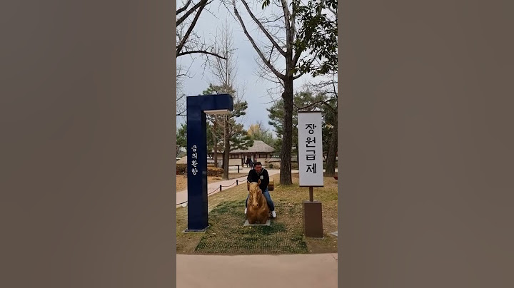 장원급제 k-papa 말타고 금의환향ㅋㅋㅋㅋ