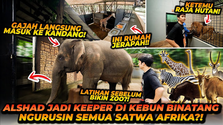BEGINI PROSES MEMASUKAN SATWA2 KE KANDANG MALAM SETELAH KEBUN BINATANG TUTUP DI SORE HARI !