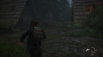 The Last of Us Part II PS5 Stuttering issues