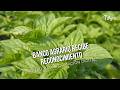 Banco Agrario recibe reconocimiento por su transformación digital - TvAgro por Juan Gonzalo Angel