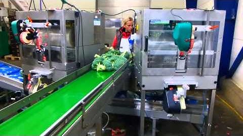 BrimaPack Brokkoli NicePack