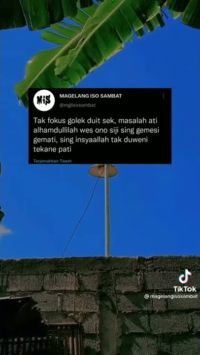 Amin - story wa #shorts #viral #lucu #shortvideo