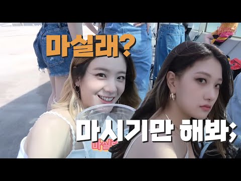 마시라고 해서 마신건데;...(프로미스나인)