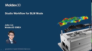Moldex3D Studio Workflow for BLM Mesh