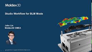 Moldex3D Studio Workflow for BLM Mesh