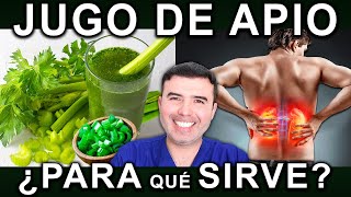 JUGO DE APIO EN AYUNAS - Para Que Sirve, Beneficios Y Contraindicaciones Para Tu Salud