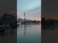 Simple joy: laughter by the water 🌊 Auckland Sky Tower #laughter#skytower#mindfulmoment