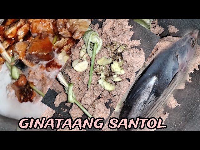 GINATAANG SANTOL / TULINGAN class=