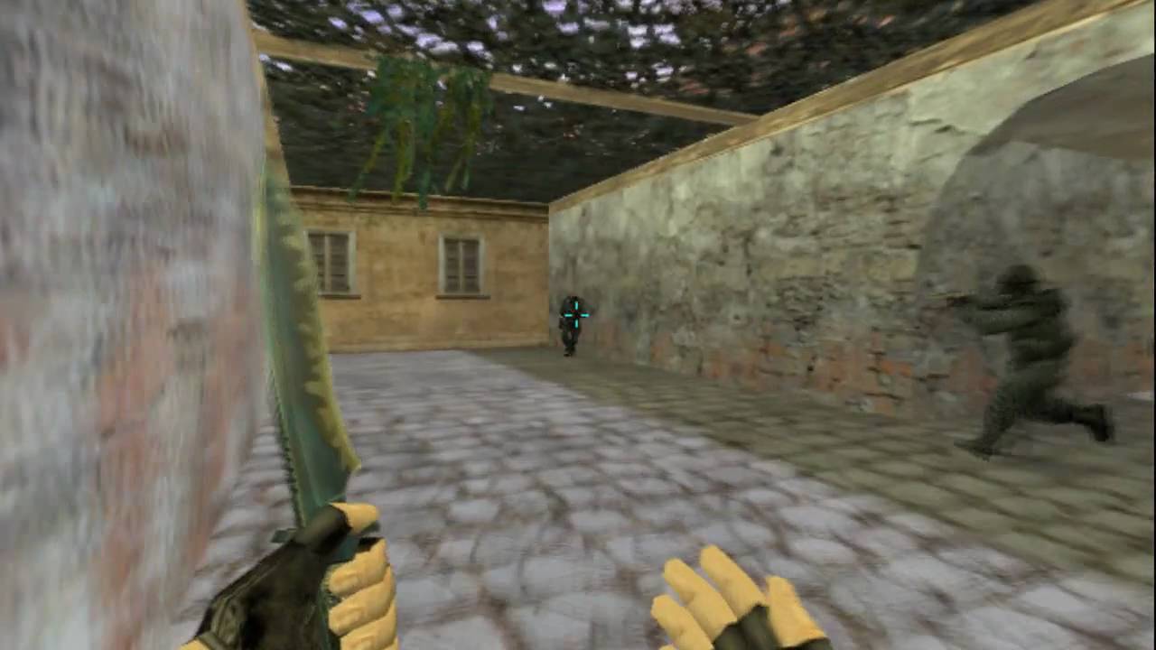 wEEdZ flahviN [Counter-Strike 1.6]