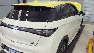 BYD Dolphin 340 mil km de revisão 