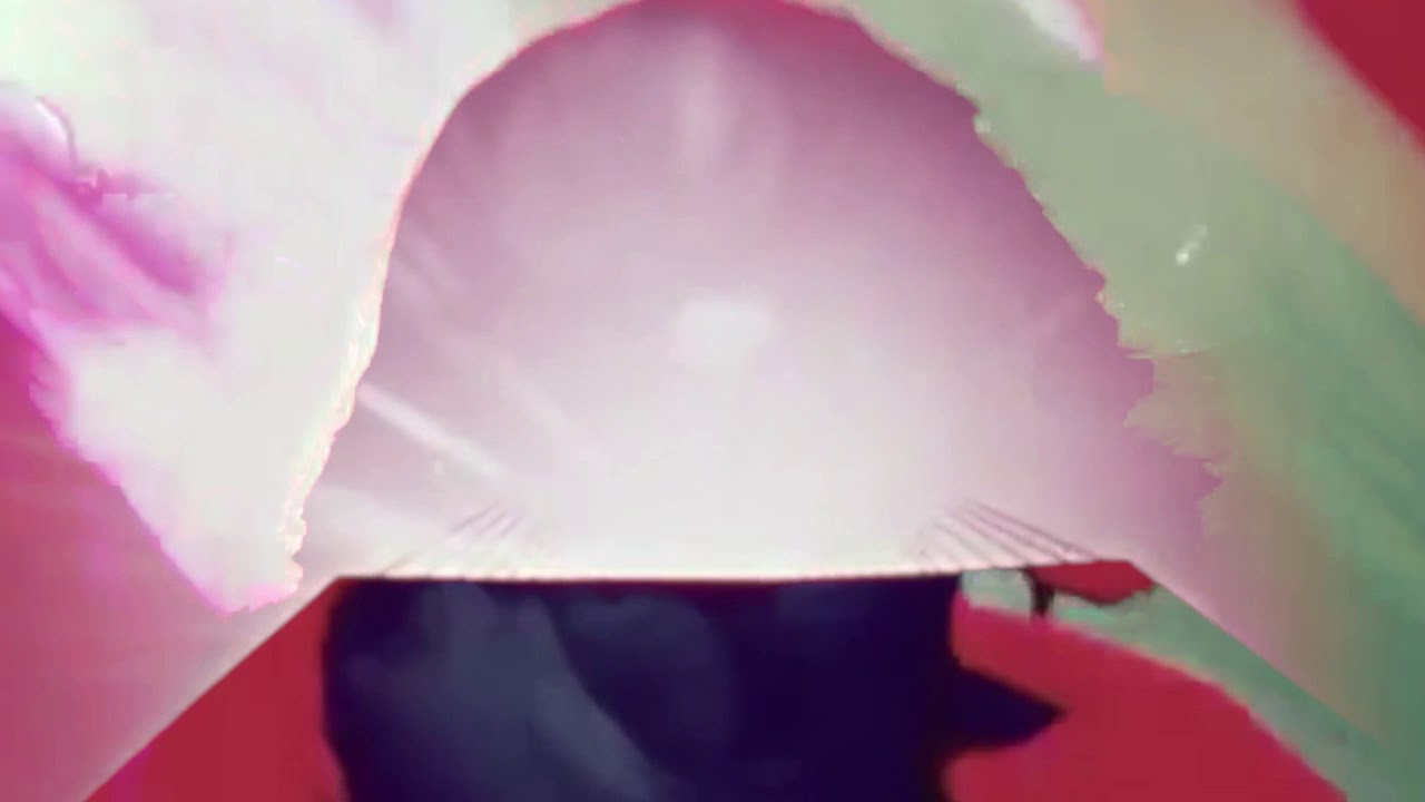 Mgmt Hand It Over Slowed Youtube We like the idea of being a little divisive without making it into some kind of philosophical musical approach, and maybe we can convert some people to our view of the world. youtube