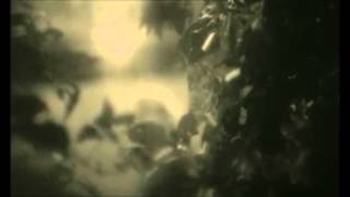 Adele Hello Vine (Chicken Nugget Guy) November 2015