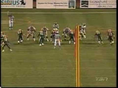 MIlt Stegall's Miracle Catch
