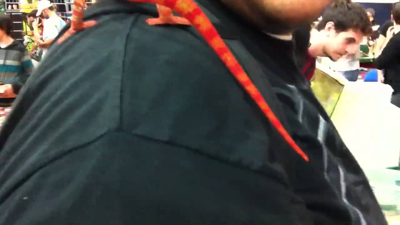 brutal death White Plains Reptile Expo NY ON 09/11/2011