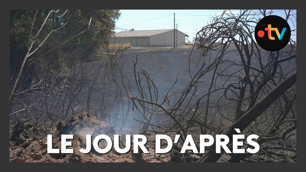 Incendie : au lendemain du feu à Jumilhac-le-Grand