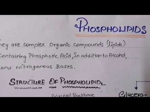 फॉस्फोलिपिड्स जैव रसायन | ग्लिसरोफॉस्फोलिपिड और स्फिंगोमीलिन | संरचना और कार्य |