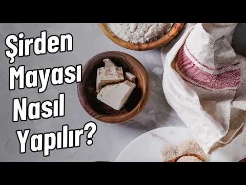 Şirden Mayası Nasıl Yapılır? Doğal Şirden ile Peynir Yapımında Kullanılan Maya Hazırlığı