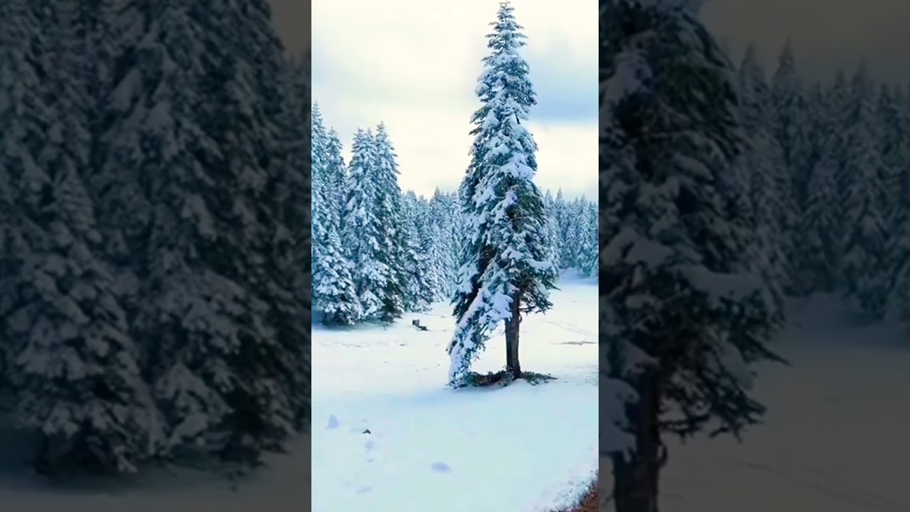 No AnyOne is Complete.. 