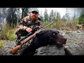 2 days hunting spring black bears  british columbia canada
