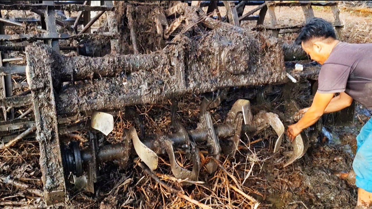 Xới đất gốc phá ra làm ruộng lúa 