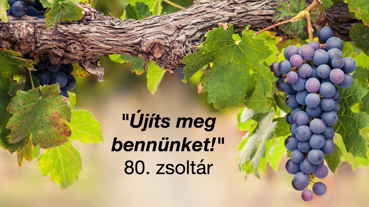 2026.03.08. Istentisztelet (Pollák Dávid) - Újíts meg bennünket! - 80. Zsoltár