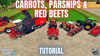 HOW TO GROW CARROTS, PARSNIPS & RED BEETS - PREMIUM EXPANSION - Farming Simulator 22