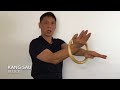 Wing Chun Chi Sau Ring Training Techniques