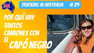 AUS#29 ¿Camiones con el capó negro?