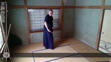 ni tanto gonosen kiri taisabaki - 5th defensive form