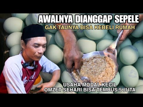 USAHA MODAL SEUPRIT || SEHARI BISA TEMBUS SAMPE 5 JUTA. KEBELI RUMAH dari JUALAN KAYA GINI