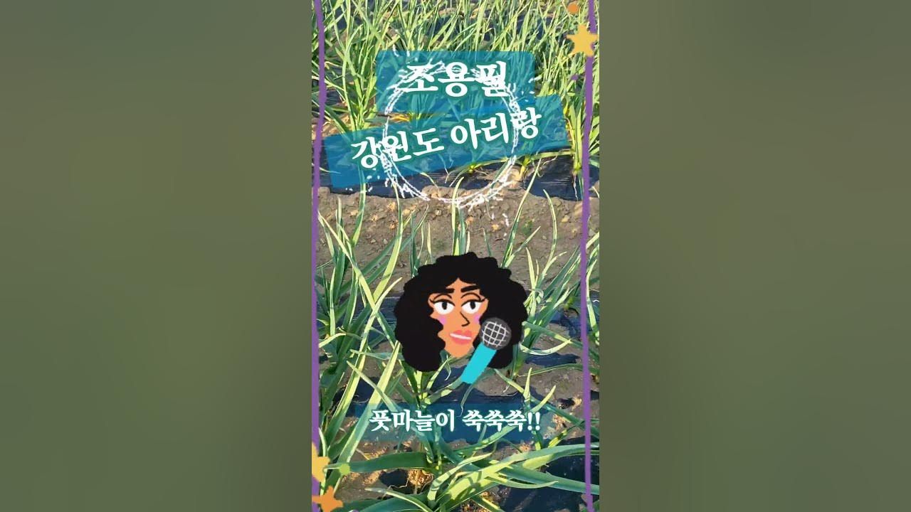 조용필 - 강원도 아리랑#가왕#노래...풋마늘이 잘 크고 있네요.