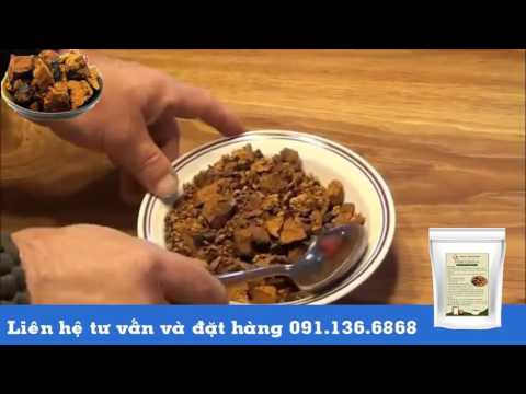 Video Nấm Chaga có công dụng và cách dùng thế nào? - youtube