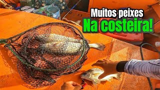 PESCARIA DE PESCADAS AMARELA NA COSTEIRA COM JIG SAPINHO! ELAS NÃO RESISTEM A ESSA ISCA! 
