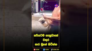 හරියටම ගැහුවානේ වතුර පාර මුනේ හිටින්න!