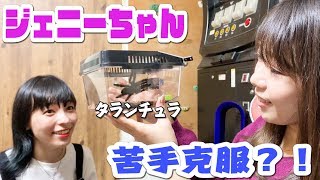 ジェニーちゃん苦手克服に挑むもカワウソに殴られるw