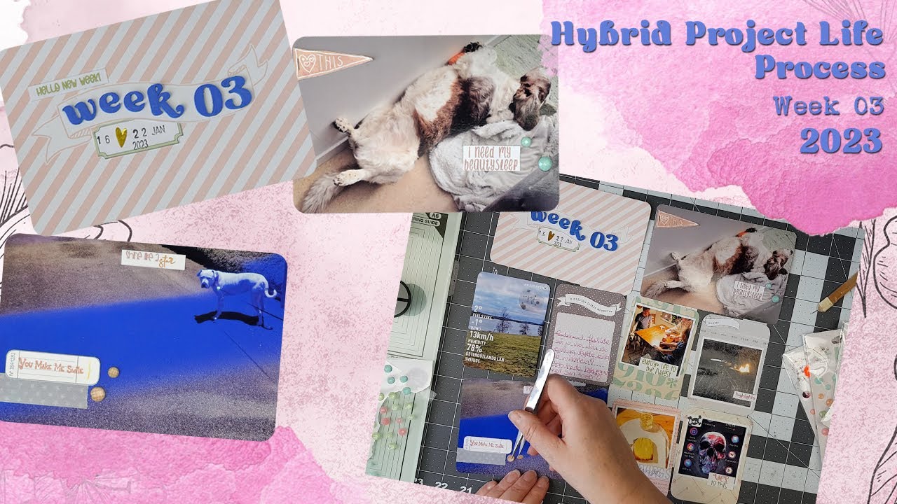 Hybrid Project Life Process Video // week 03 // 2023 - YouTube