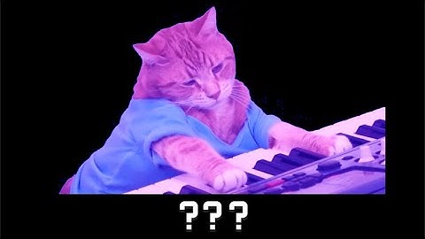 15 "Piano Cat" Sound Variations in 60 Seconds
