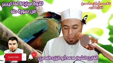 حصريا تلاوة مباركة لما تيسر من سورة طه ❤️🧡القارئ الشيخ محمد أبو اليزيد المصري