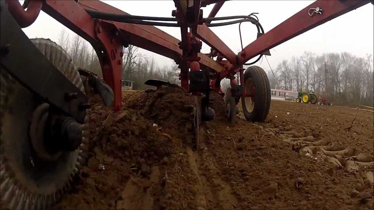 1961 Farmall 504 Plowing in Conetoe NC