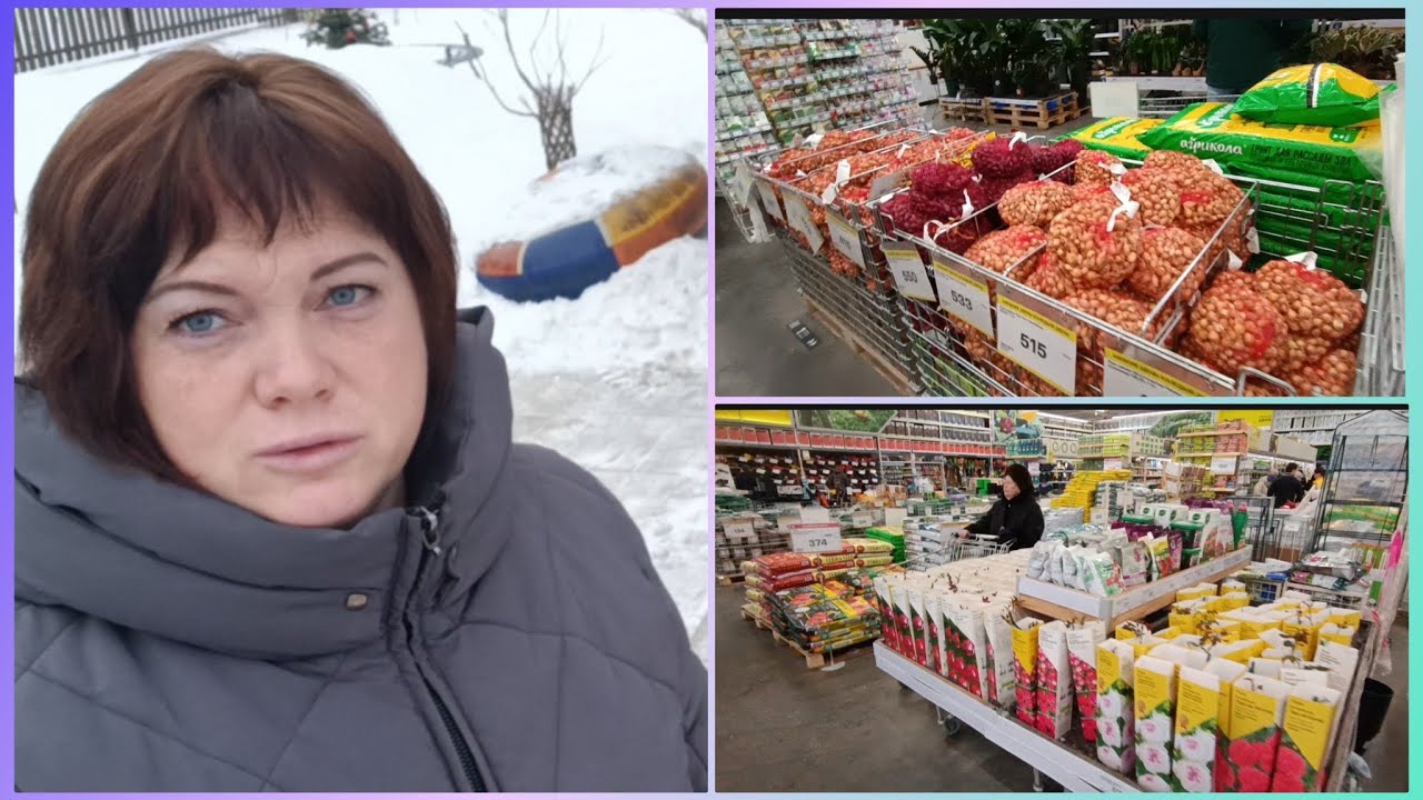 Поехала в город.Купила саженцы роз