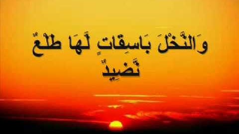 سورة ق للقارئ الشيخ فؤاد السويلمي