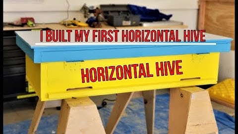 Beekeeping HORIZONTAL HIVE (Long Langstroth Hive)