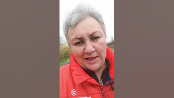Как отличить Лошака от Мула? Гибриды лошади и осла.